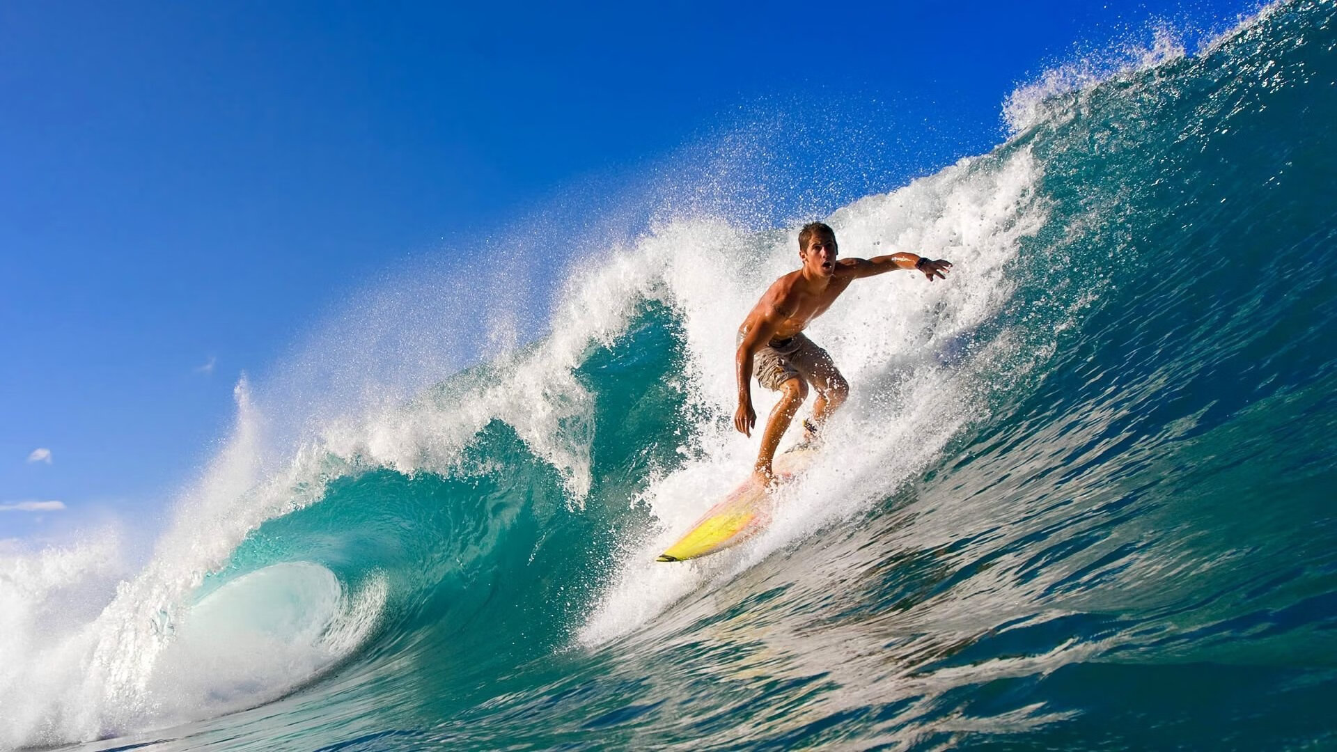 区块链交易应用：优化联盟交易流程，让一切公平可信，区块链联盟链项目